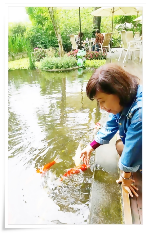 這張圖片的 alt 屬性值為空，它的檔案名稱為 29139.jpg