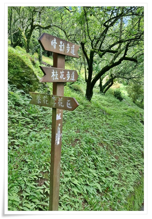 這張圖片的 alt 屬性值為空，它的檔案名稱為 29165.jpg